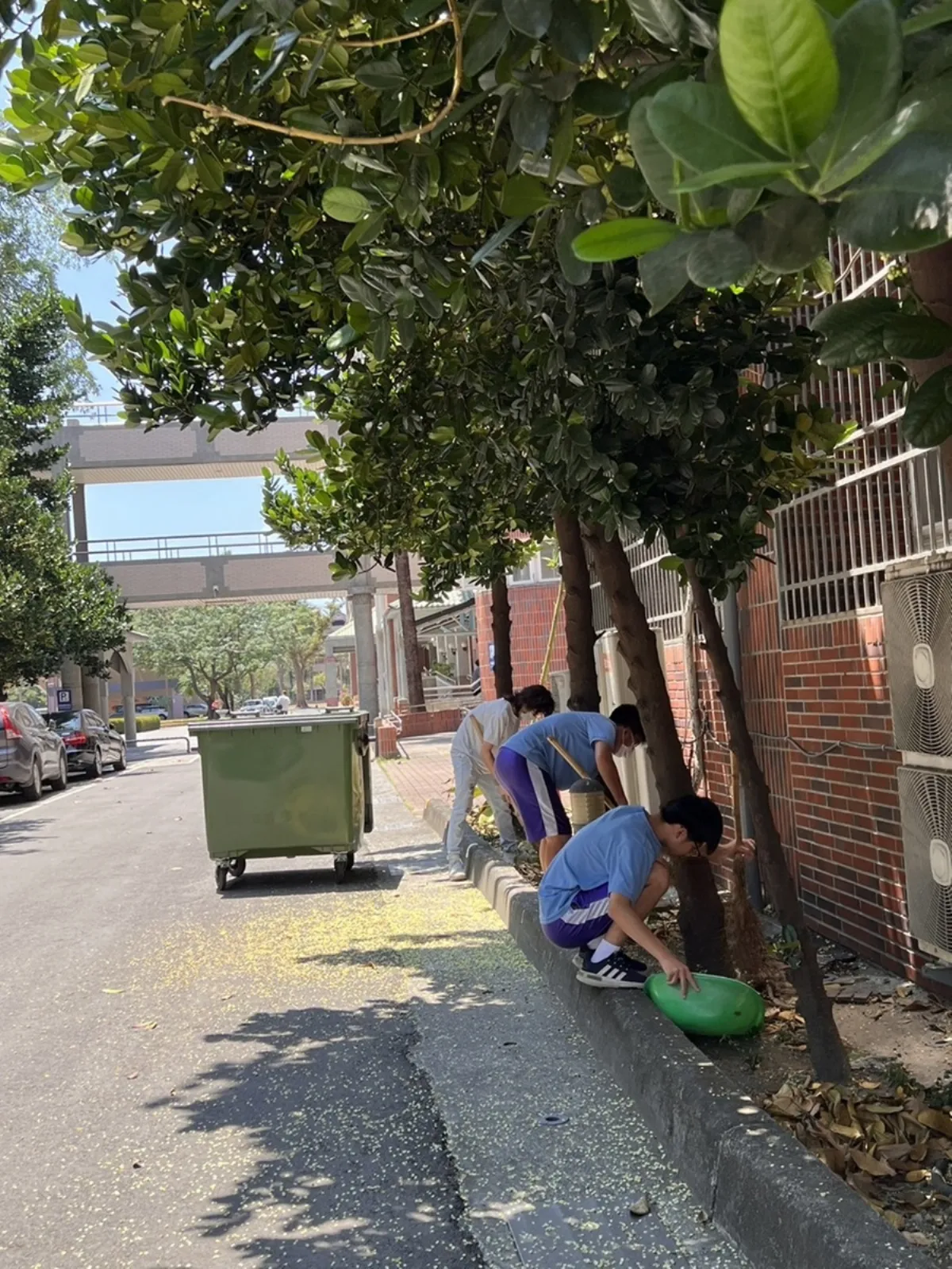 防治登革熱 教育部籲各校落實「巡倒清刷」