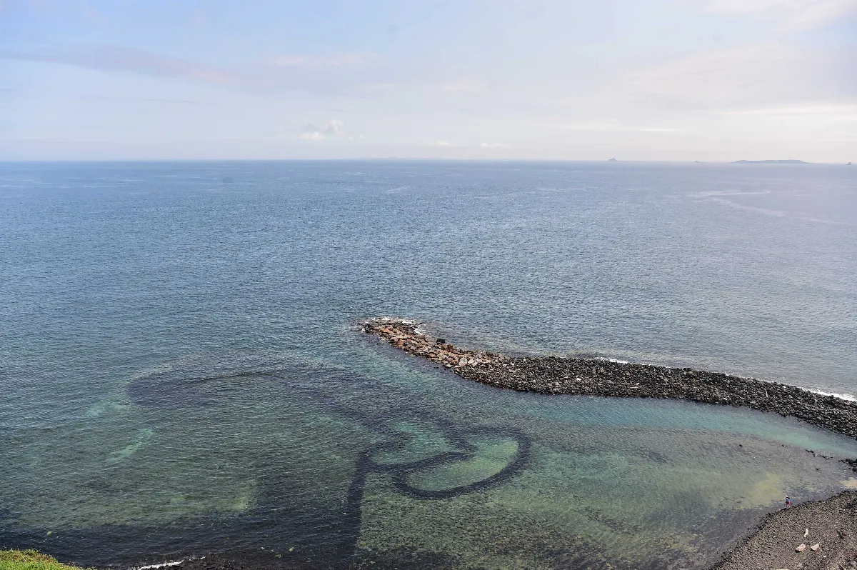 【人間小品】美麗的潮間帶   