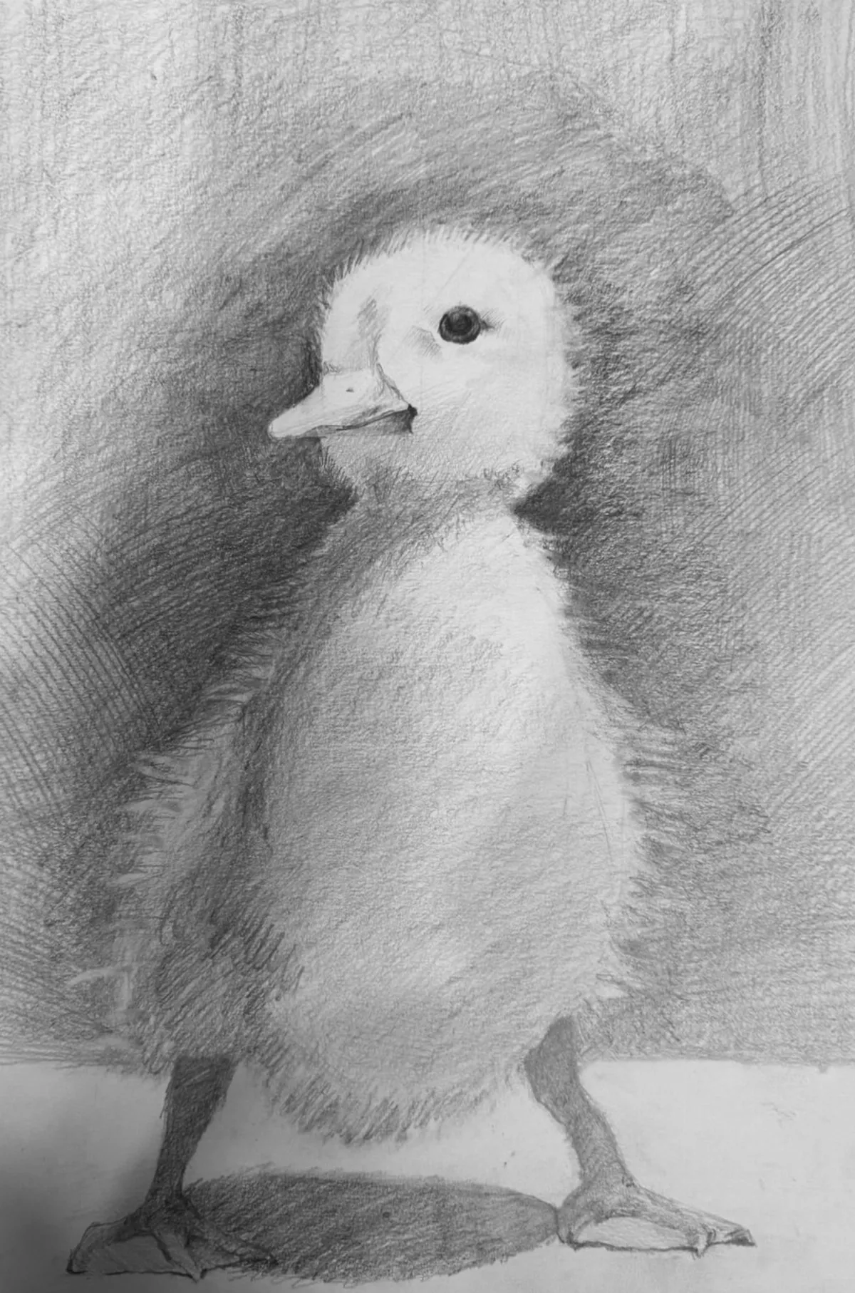 【快樂塗鴉簿】小鴨