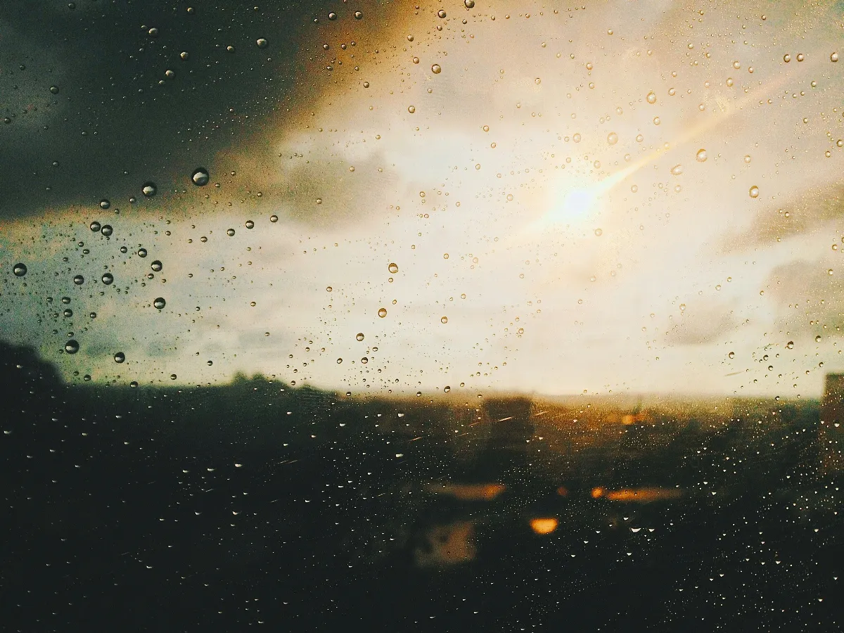 雨中的團結