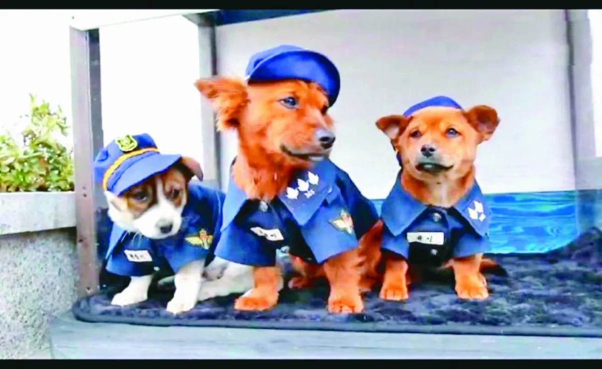 浪浪獲救報恩 攜全家來當警犬