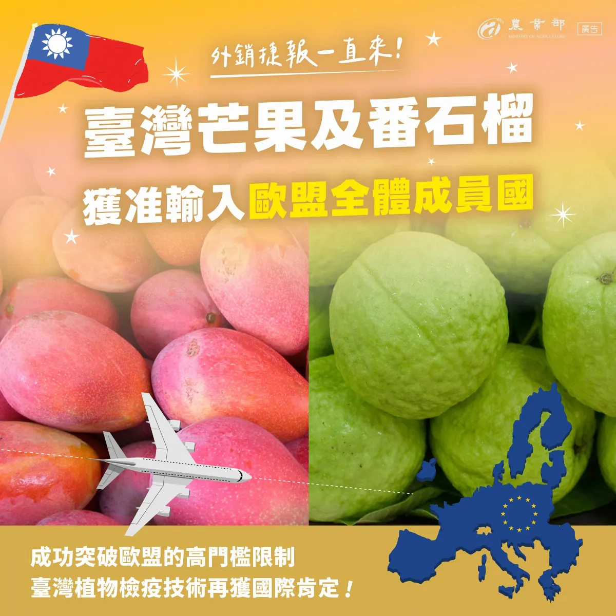 農產品外銷重大里程碑 歐盟開放台灣芒果及番石榴輸入