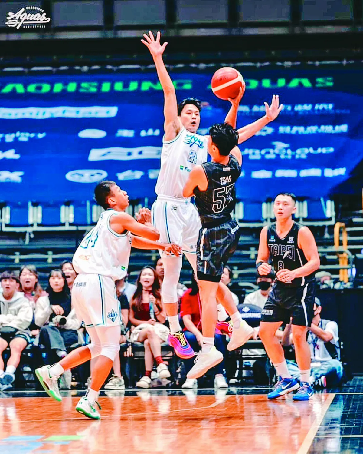 矛盾對決 國王、海神爭TPBL首冠