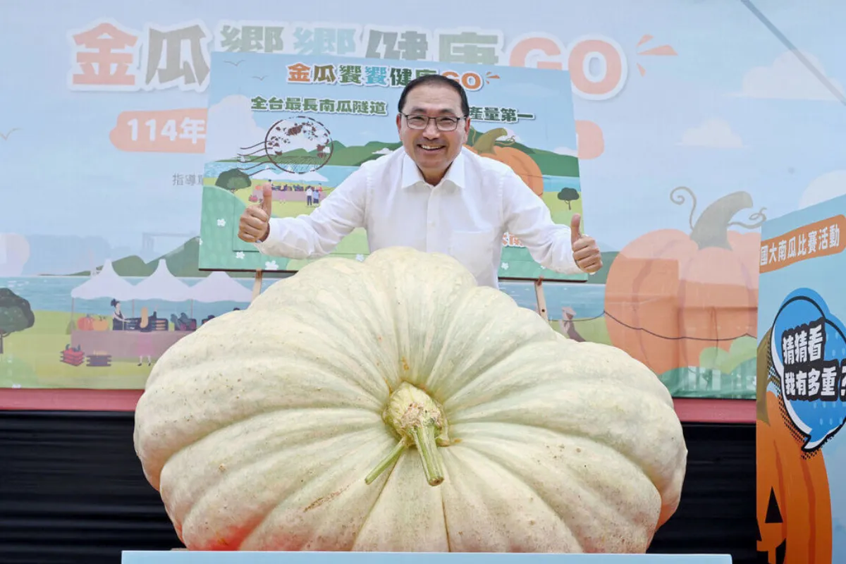 732台斤！淡水農友種出超大南瓜 起重機才搬得動 