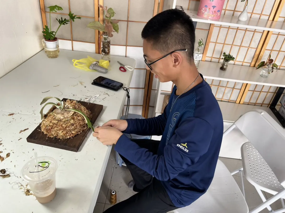 園藝治療心智障礙 鹿角蕨男孩開創一片天