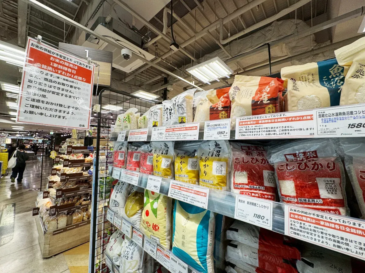 釋出儲備米得民心 小泉進次郎躍居日首相熱門人選