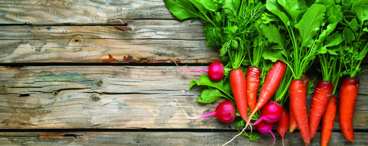 根莖類蔬菜 膳食營養亮點