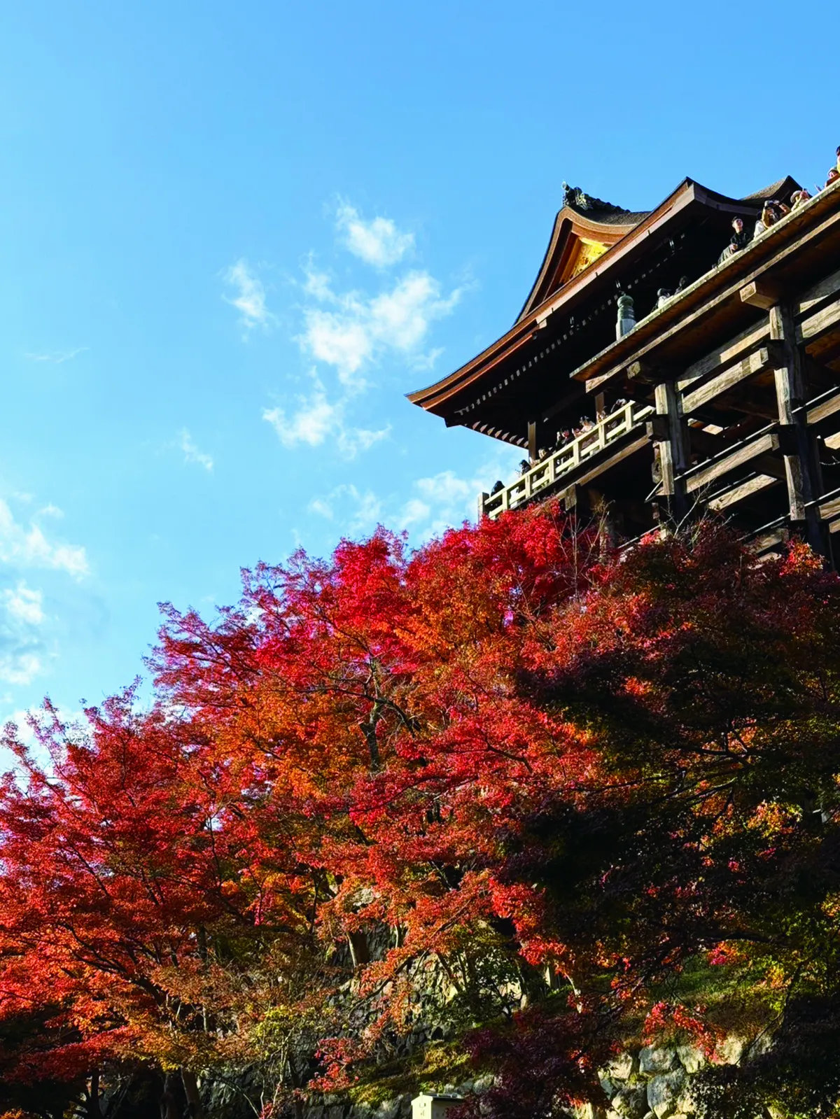 【世界行旅】靈動的風景