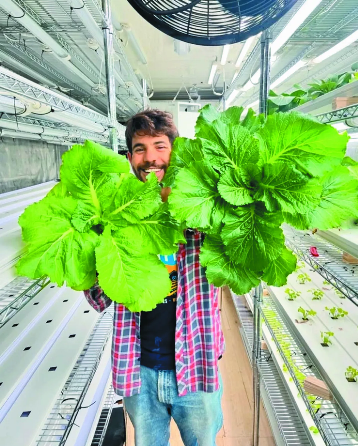 貨櫃農場 翻轉糧食危機