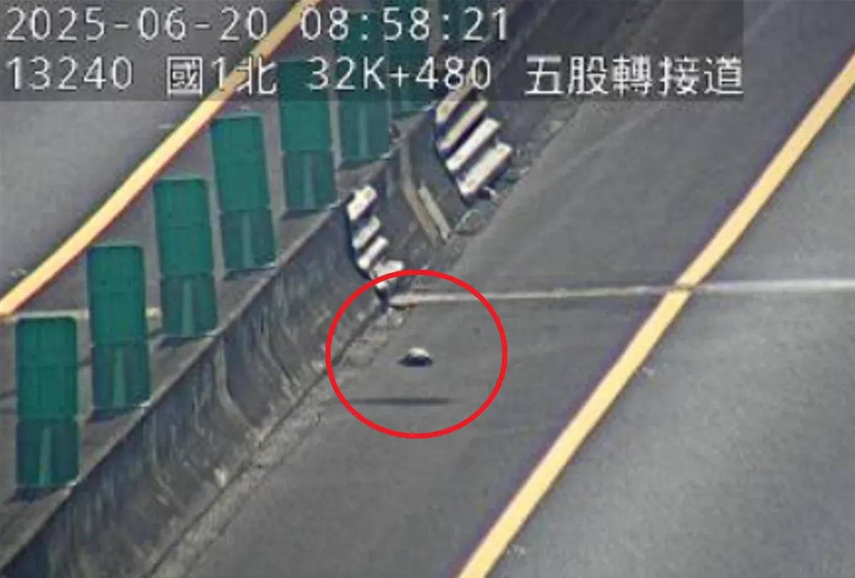 烏龜誤闖國道橫越3車道 高工局及時救援平安無傷
