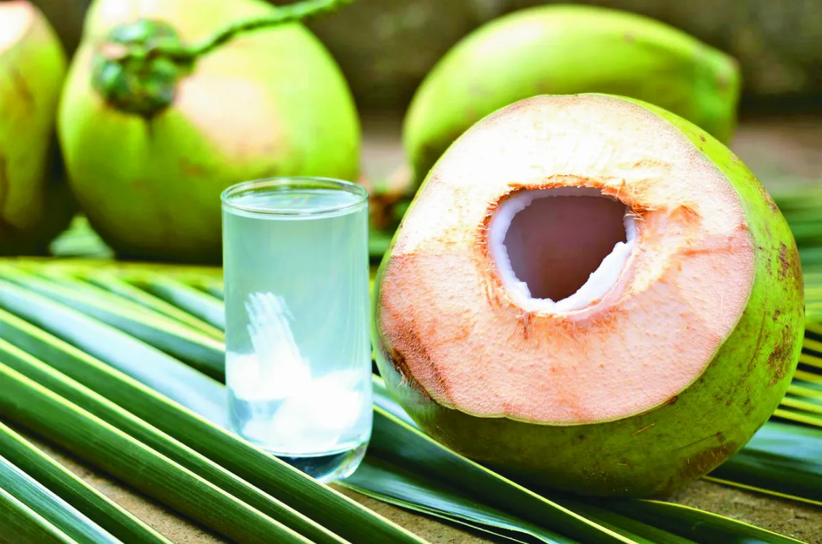 椰子水有助降低血壓  腎臟病患慎飲