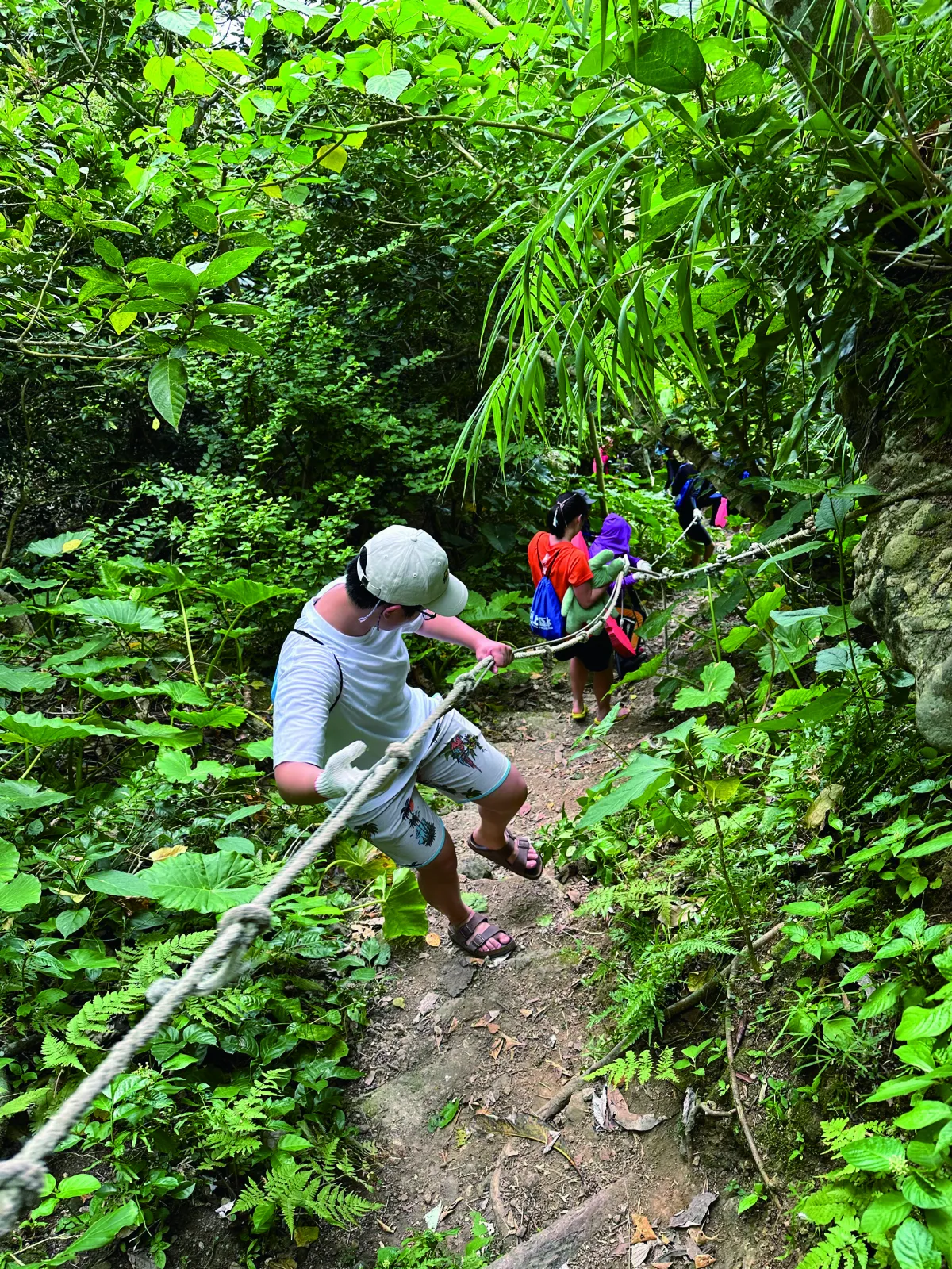 【印象旅人】綠島邂逅哈巴狗&睡美人
