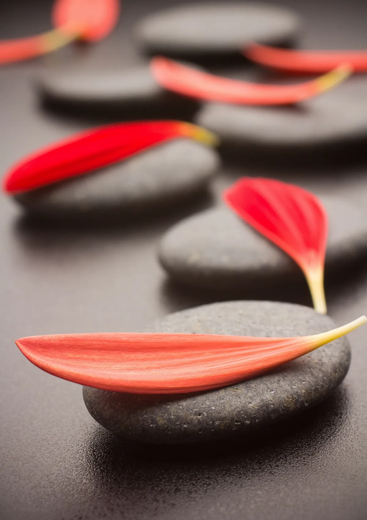 【佛源成語】八萬四千