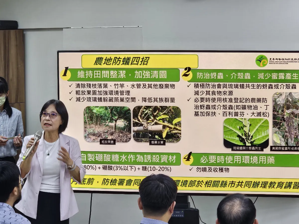 疣胸琉璃蟻害通報逐年增加 農業部推三不原則