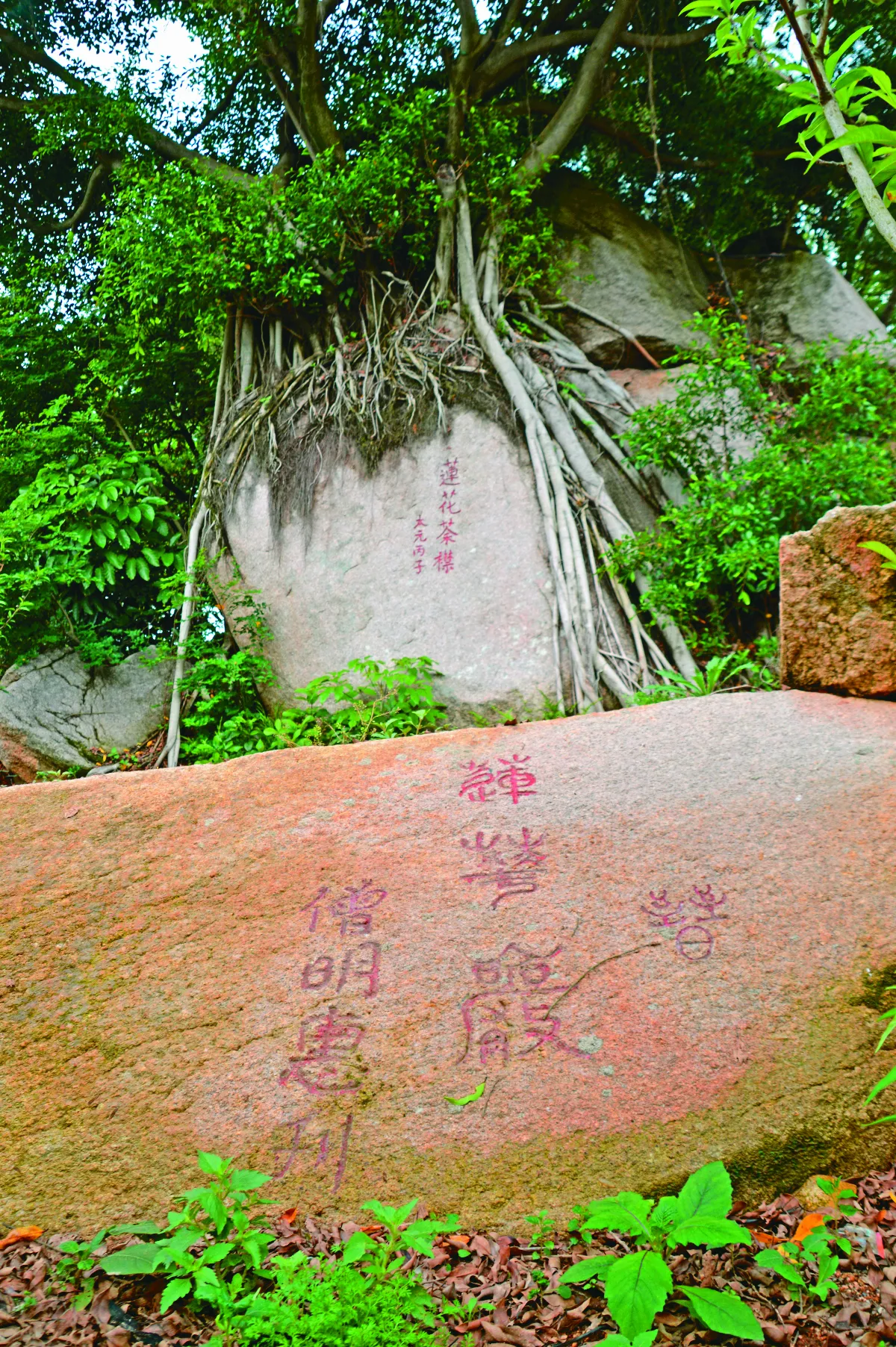 【地方采風】泉南石刻：蓮花峰摩崖石刻