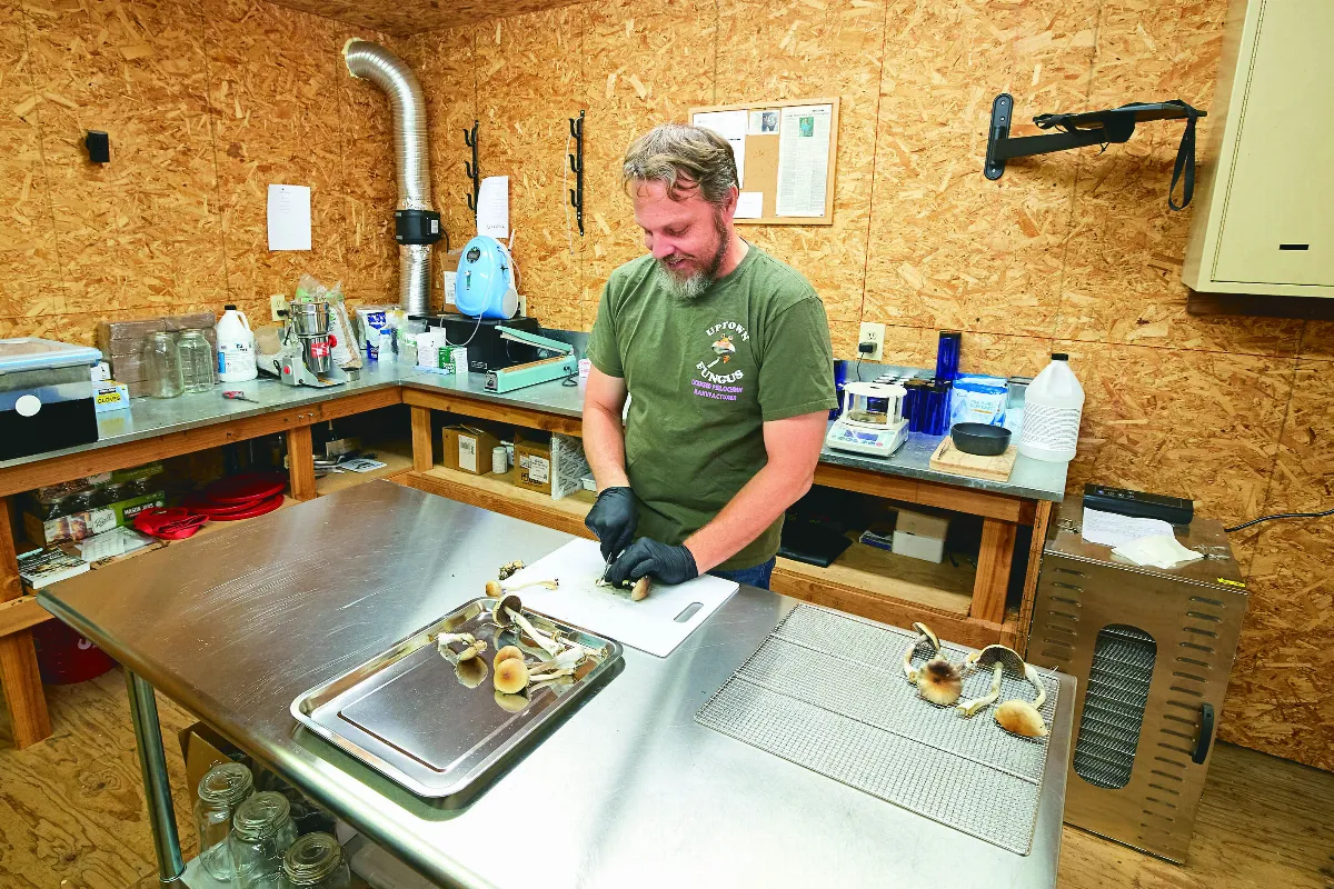 真菌活纖維 合成材料取代塑膠