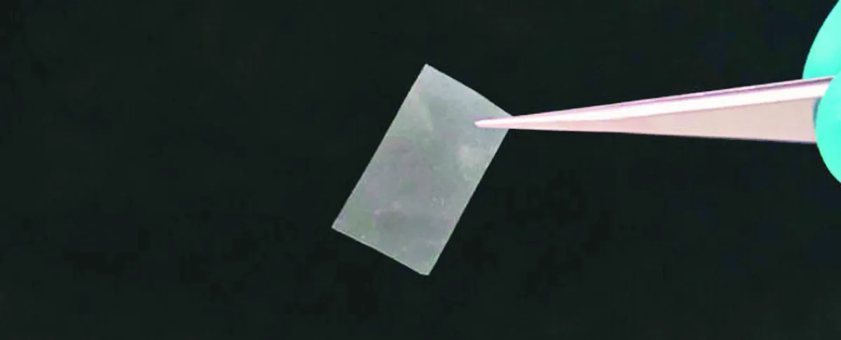 真菌活纖維 合成材料取代塑膠