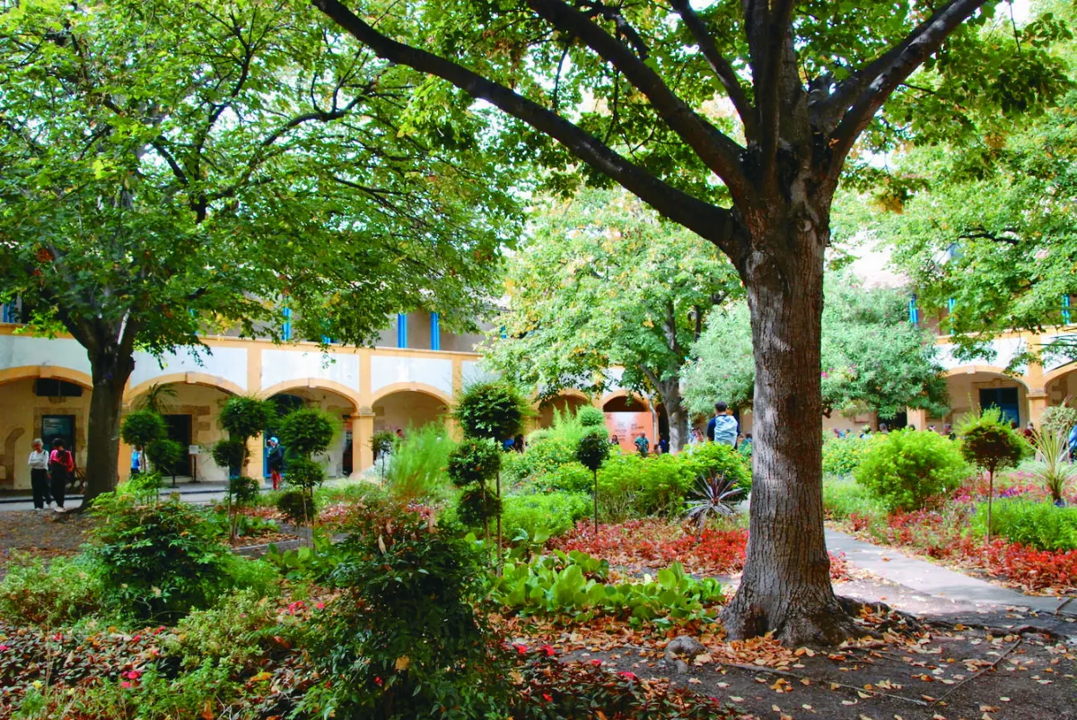 【優游藝林】屬於梵谷的亞耳