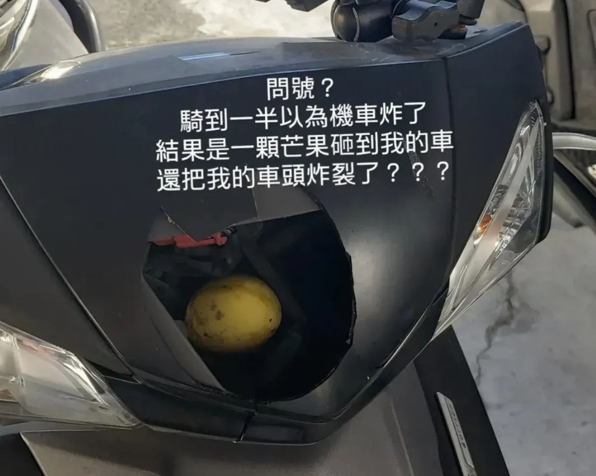 水果也能造成傷害！機車被芒果砸出大洞