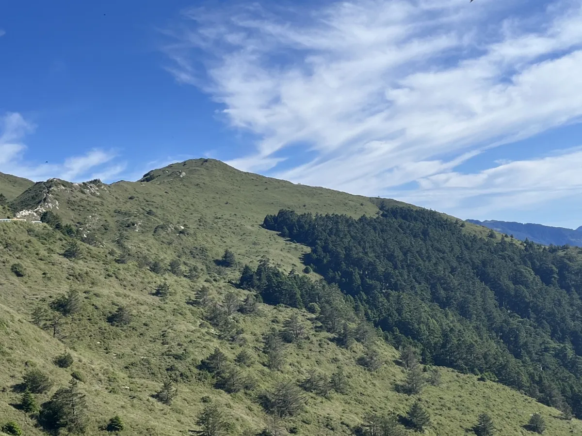 合歡山海拔高氣溫低 炎夏避暑好去處