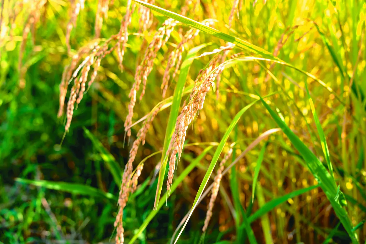 【與你同行】心的旅程