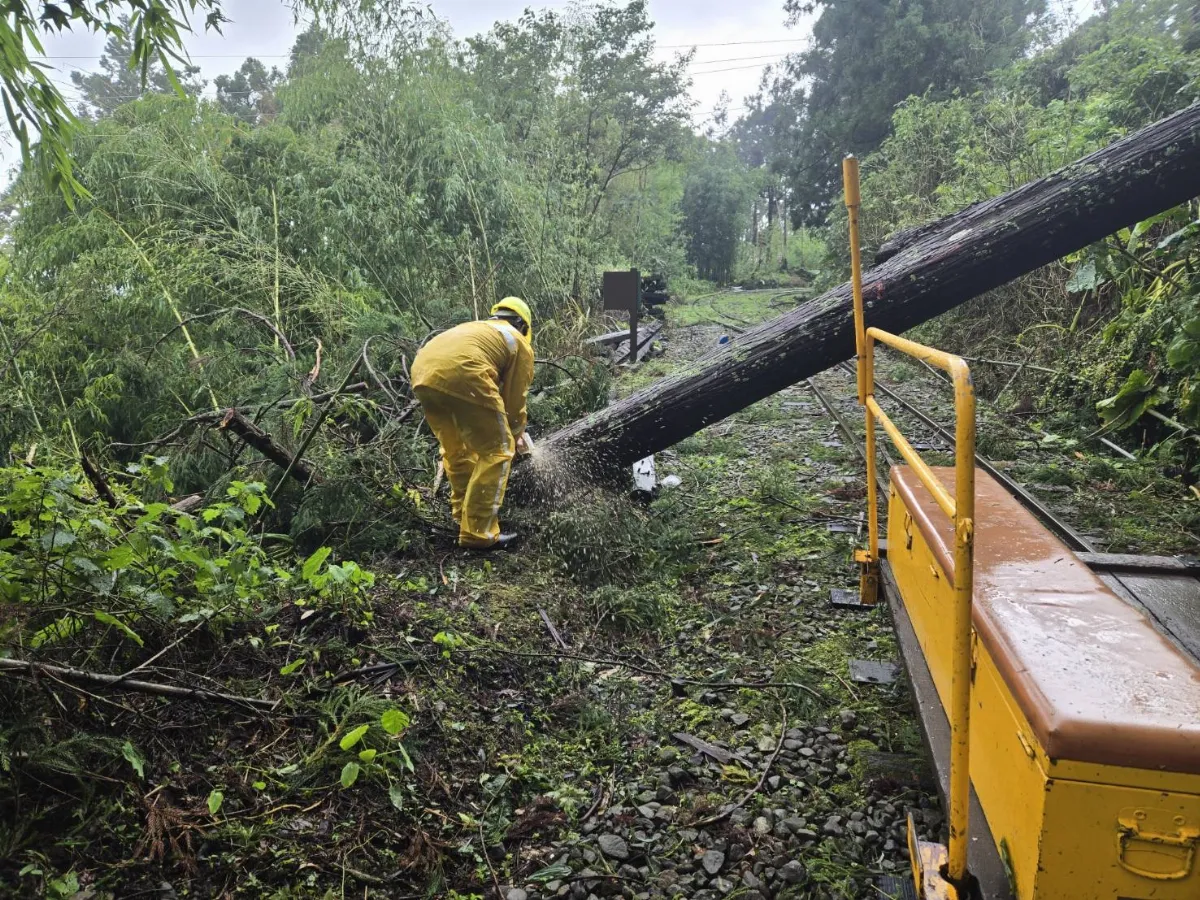 丹娜絲重創嘉義 阿里山林鐵本線15日恢復營運
