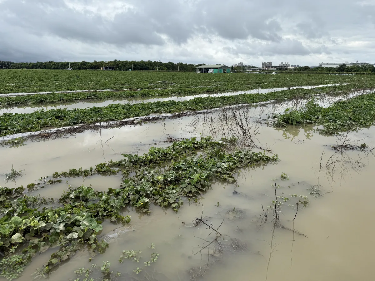 颱風豪雨侵襲 嘉南重災區農損已達10億元