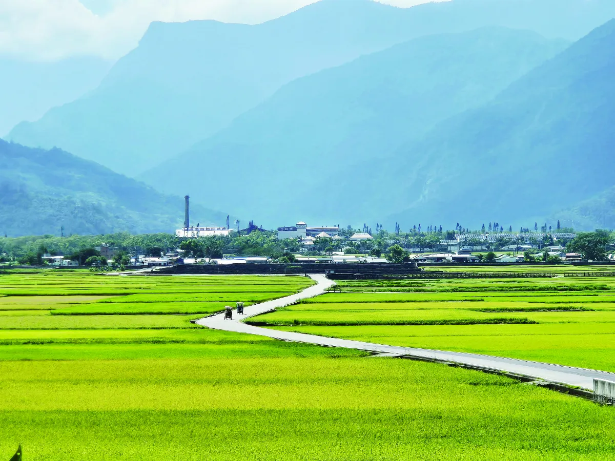 暢遊花東縱谷 來一趟蔬福之旅