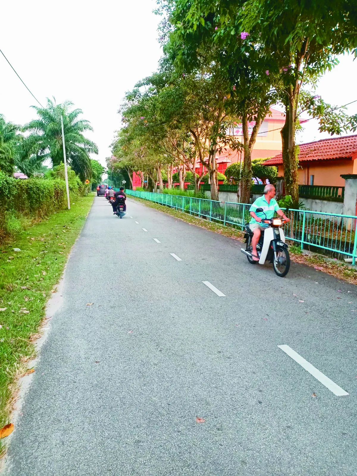 獲大馬政府撥款 東禪寺旁小路擴建為四車道