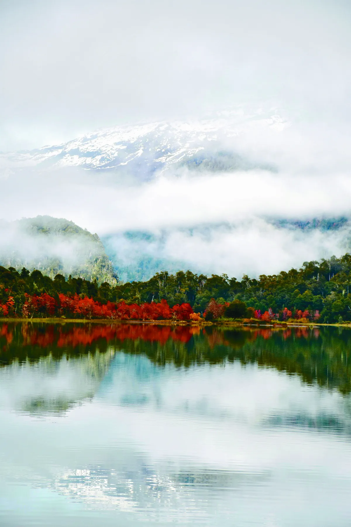 星雲大師全集【講演集】緣起與還滅—證悟之後的生活 4-3