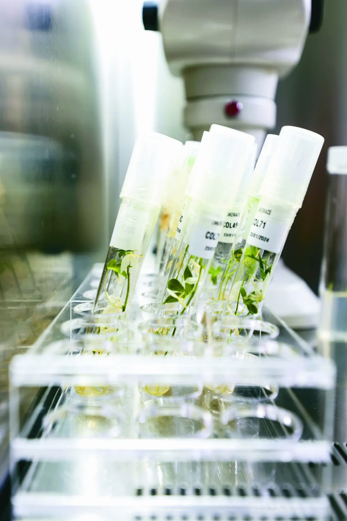 量子運算 推動精準農業革命