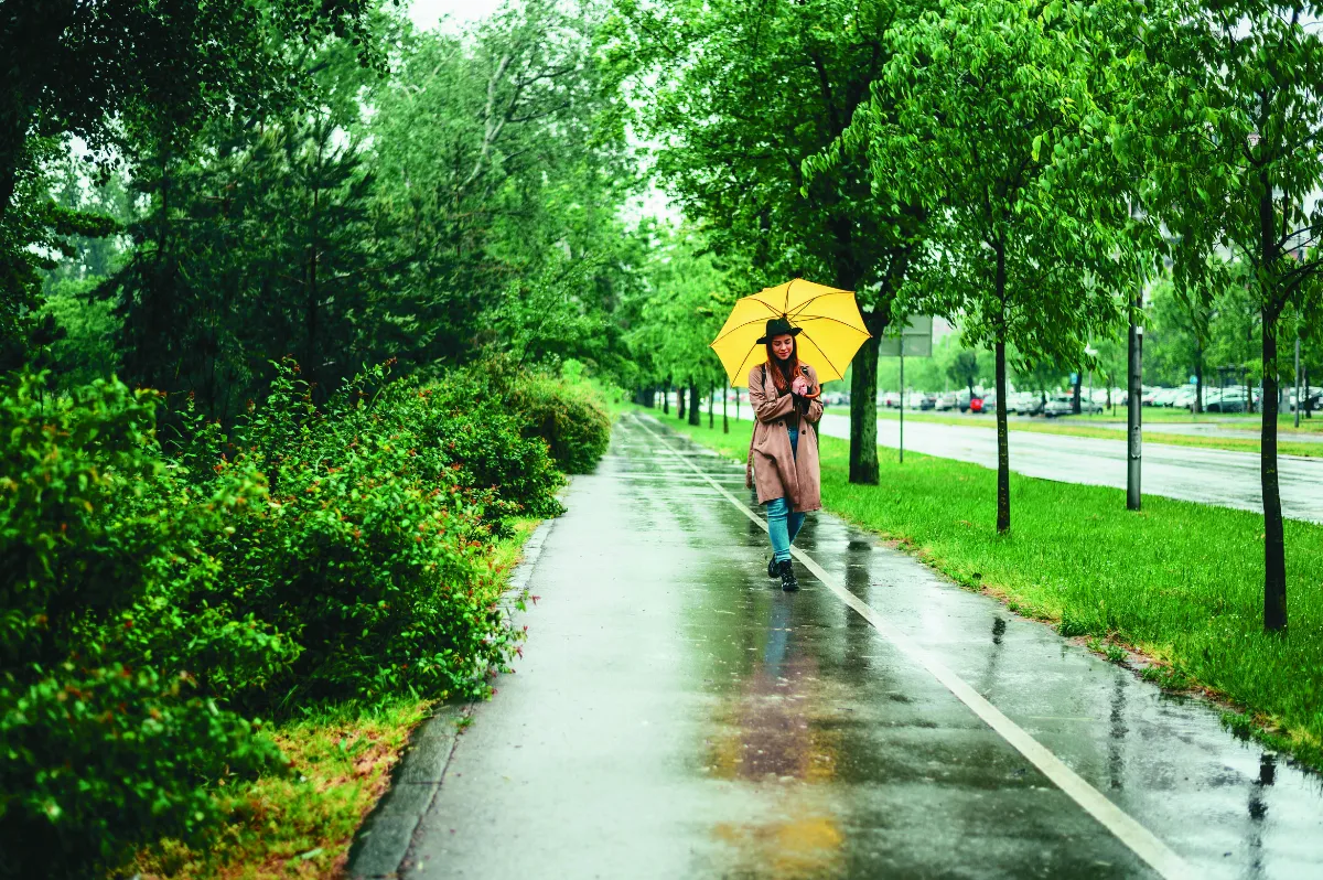 【心情筆記】細雨半日行