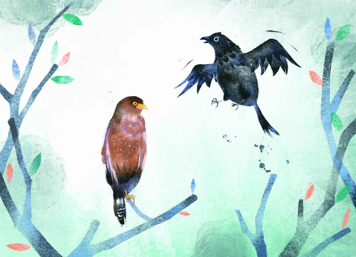 【原民說故事】鳥兒們的故事（下）