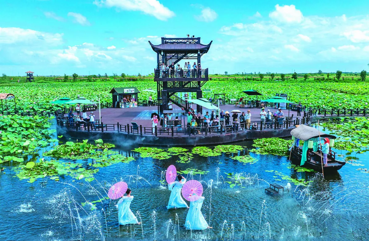 夏日清涼遊