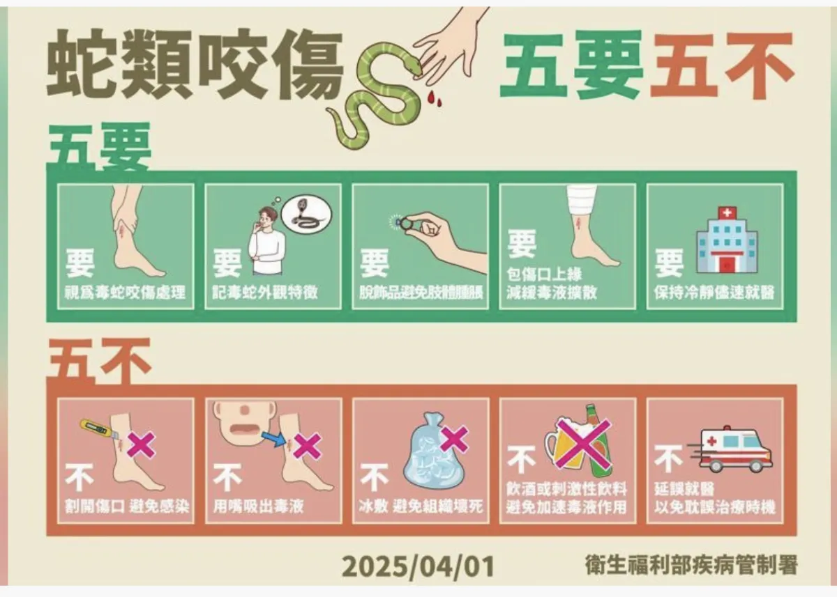 每年近千人被咬 疾管署：蛇毒血清8月使用是高峰