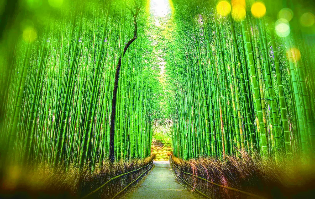 星雲大師全集【講演集】禪學與淨土—談禪 6-4