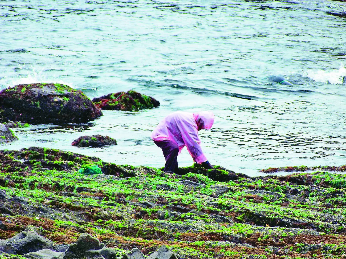 【島嶼拼圖】馬崗漁村領略海女文化