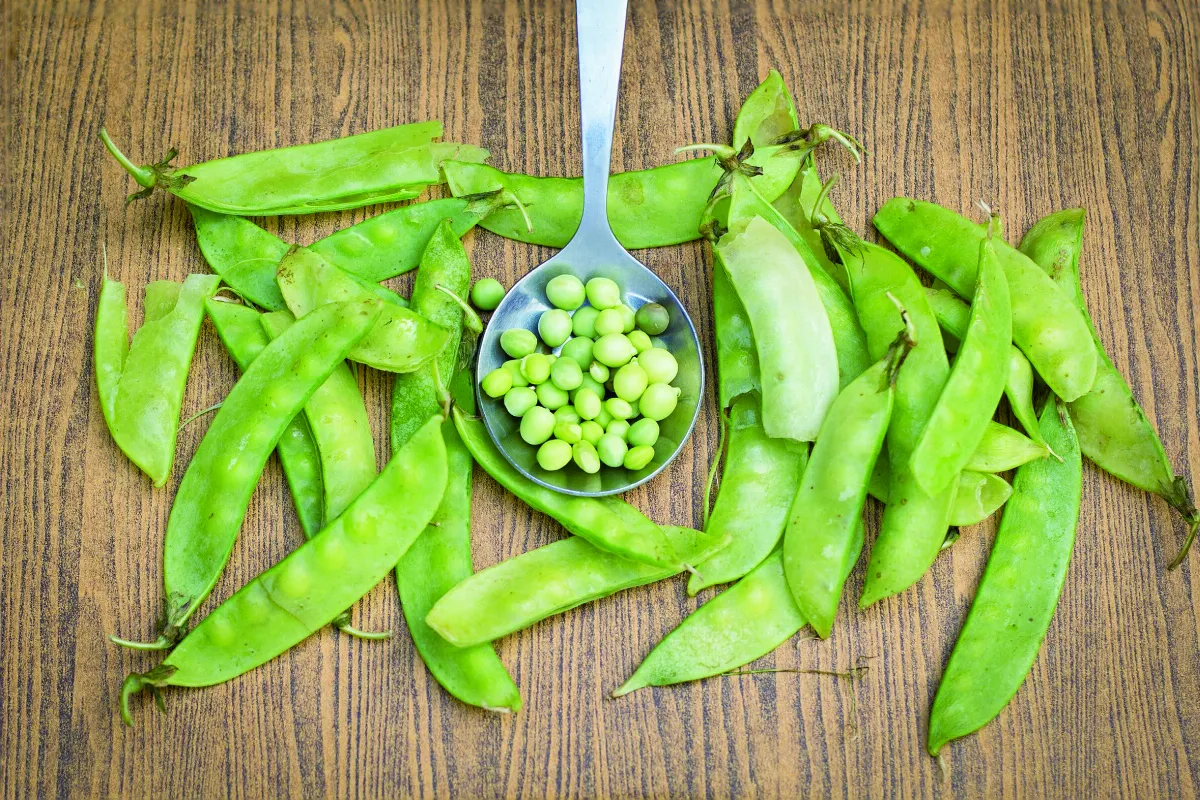 【記憶長廊】荷蘭豆炒洋菇