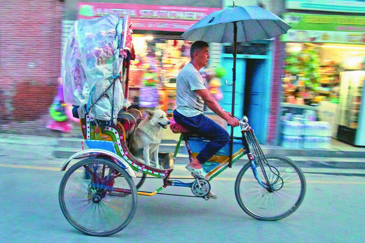 車伕人狗情緣 尼泊爾最美街景