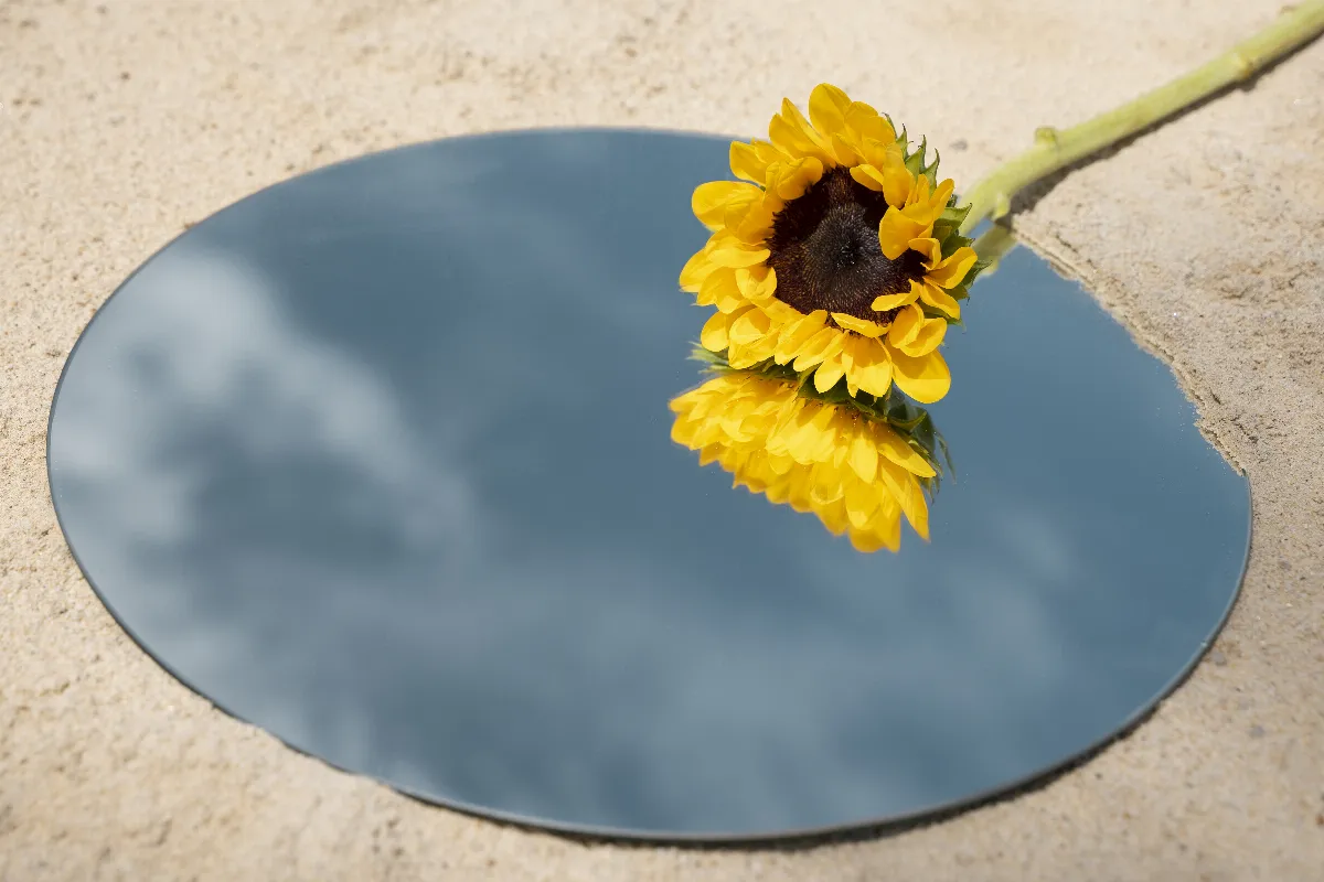 【人間哲思】別用靈性名詞逃避誠實