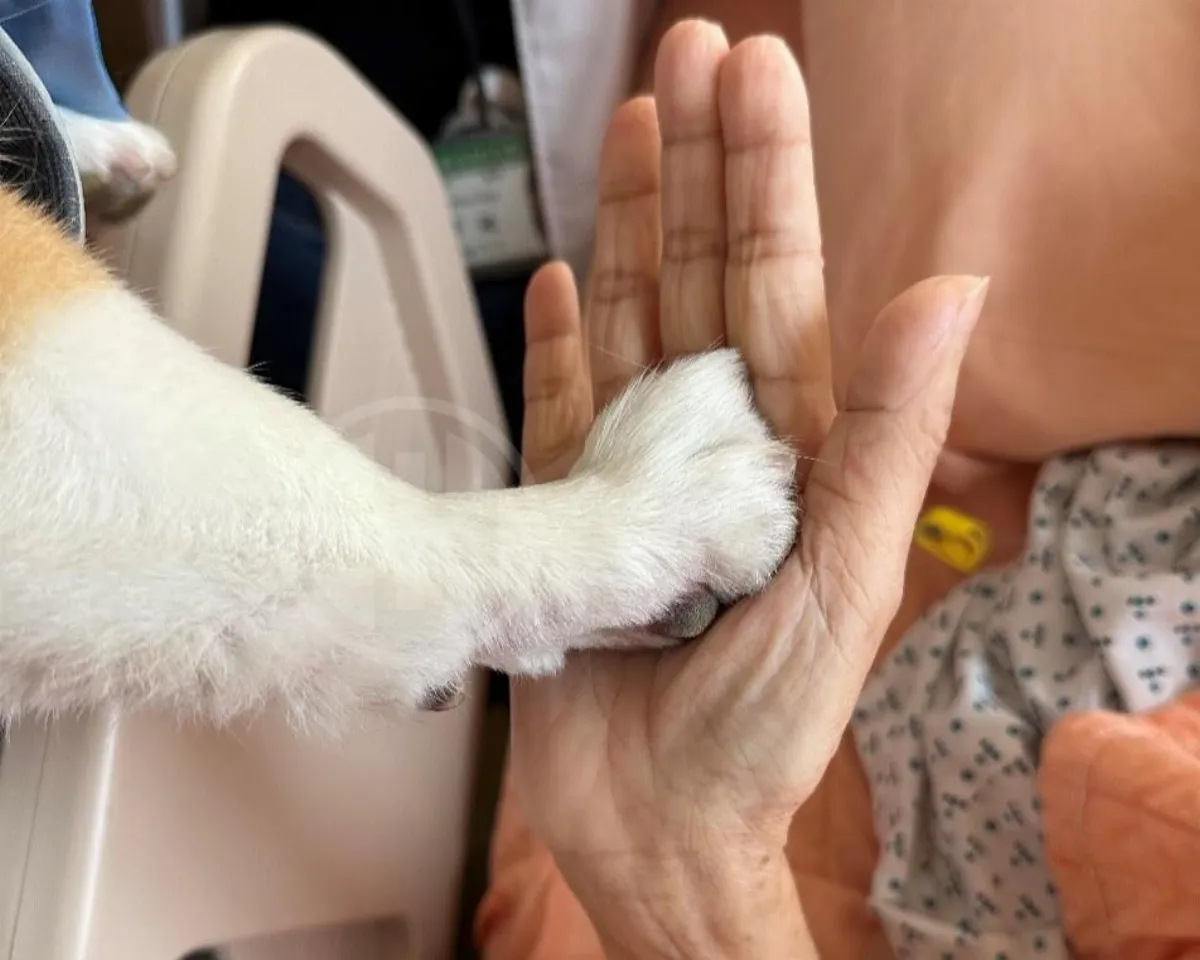 銀色時光不該只是消耗 「快樂處方箋」療癒身心靈