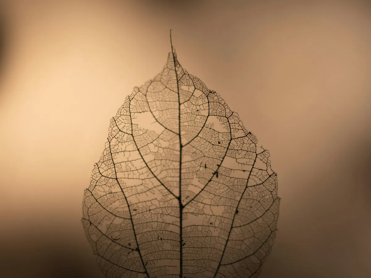 星雲說偈：什麼最寶貴？