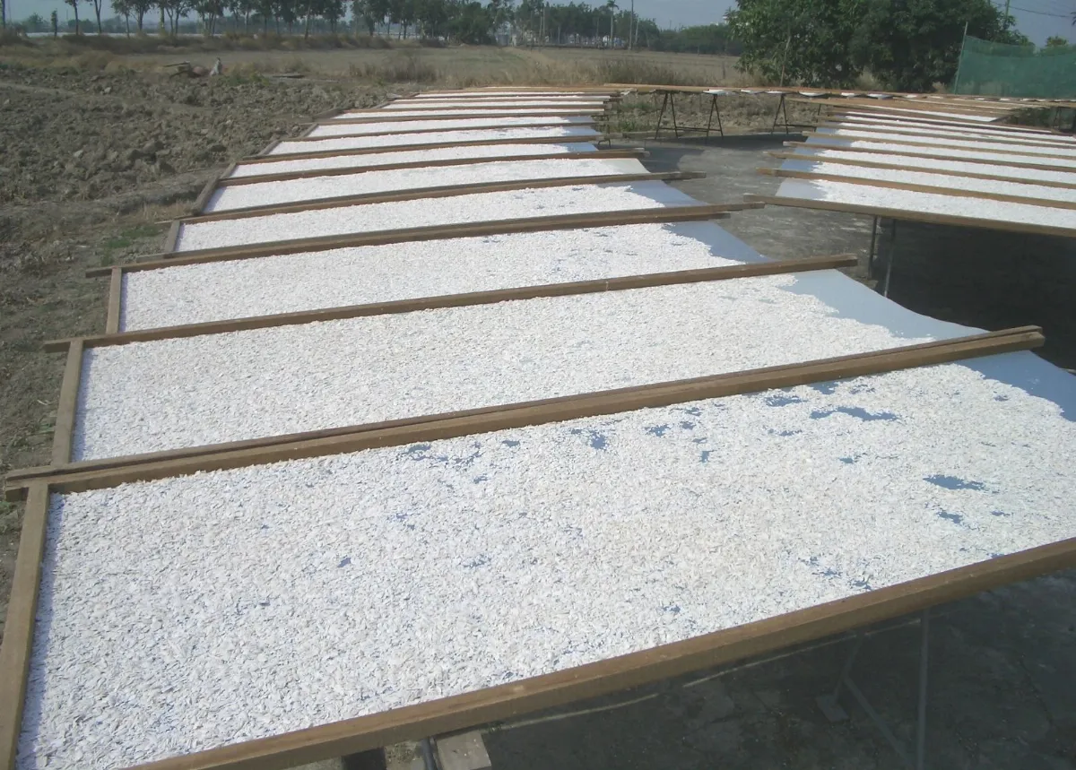 【食說新語】藕化為粉再團圓