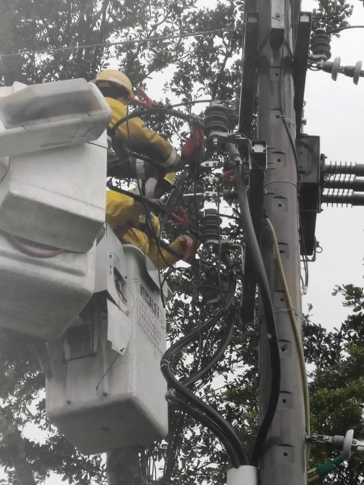 颱風造成花蓮逾6千戶停電 台電拚今晚全復電