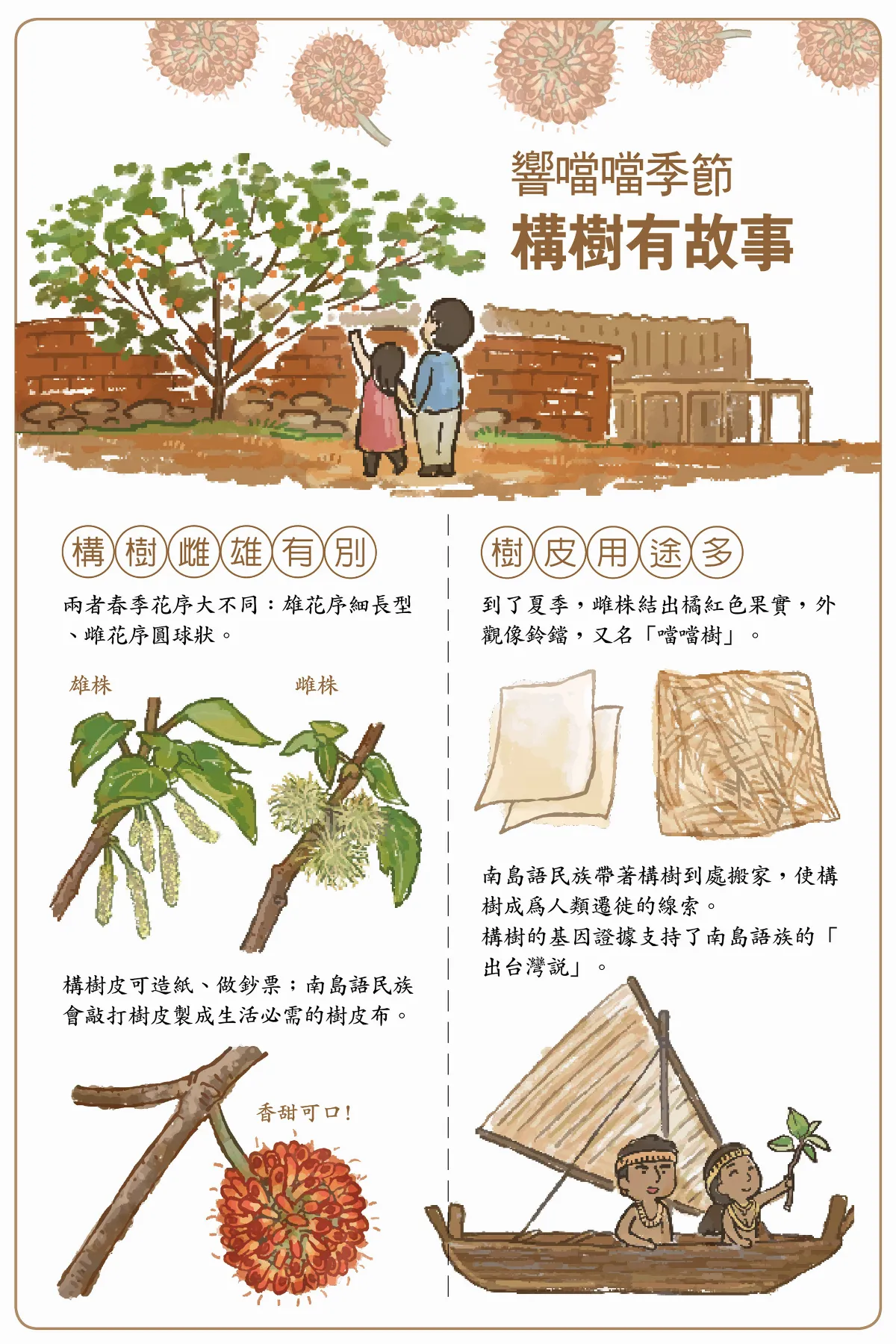 【玉子手札】路邊常見構樹