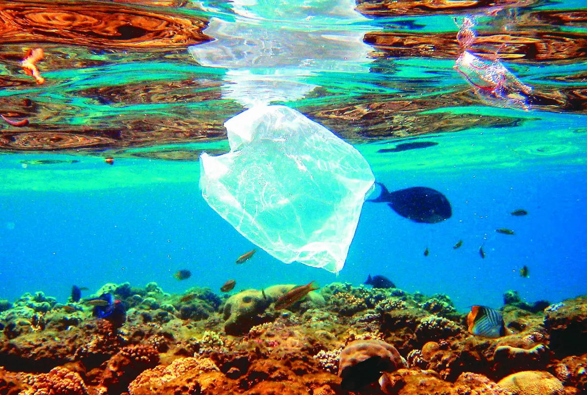 新型塑膠可溶於鹽水 海塑汙染有解