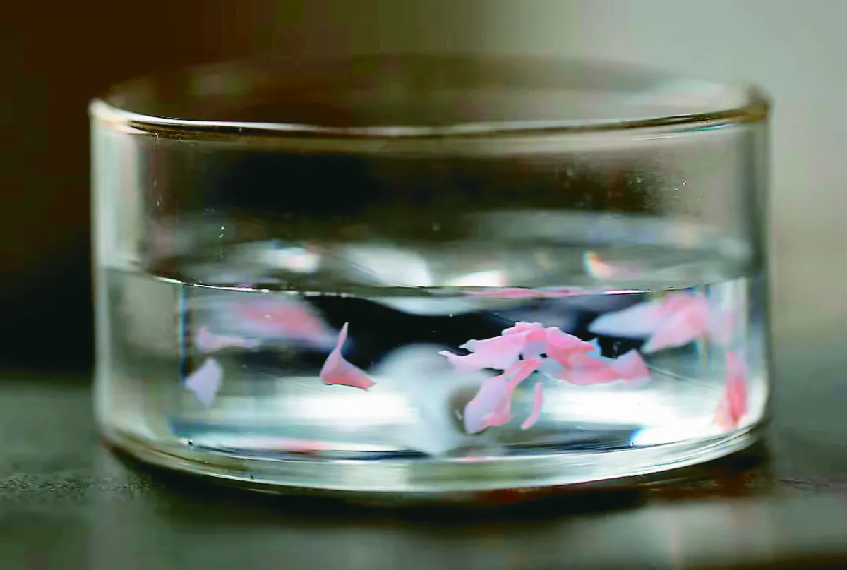 新型塑膠可溶於鹽水 海塑汙染有解