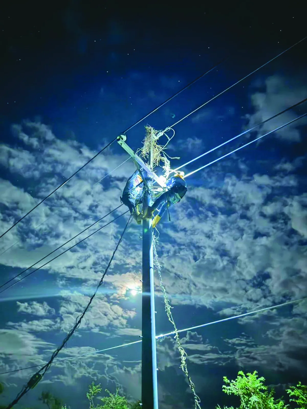 增電網韌性 啟動電纜地下化規畫