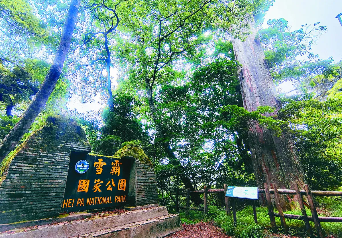 新竹．五峰 原鄉祕境湧風雲 矮靈夜祭傳古韻