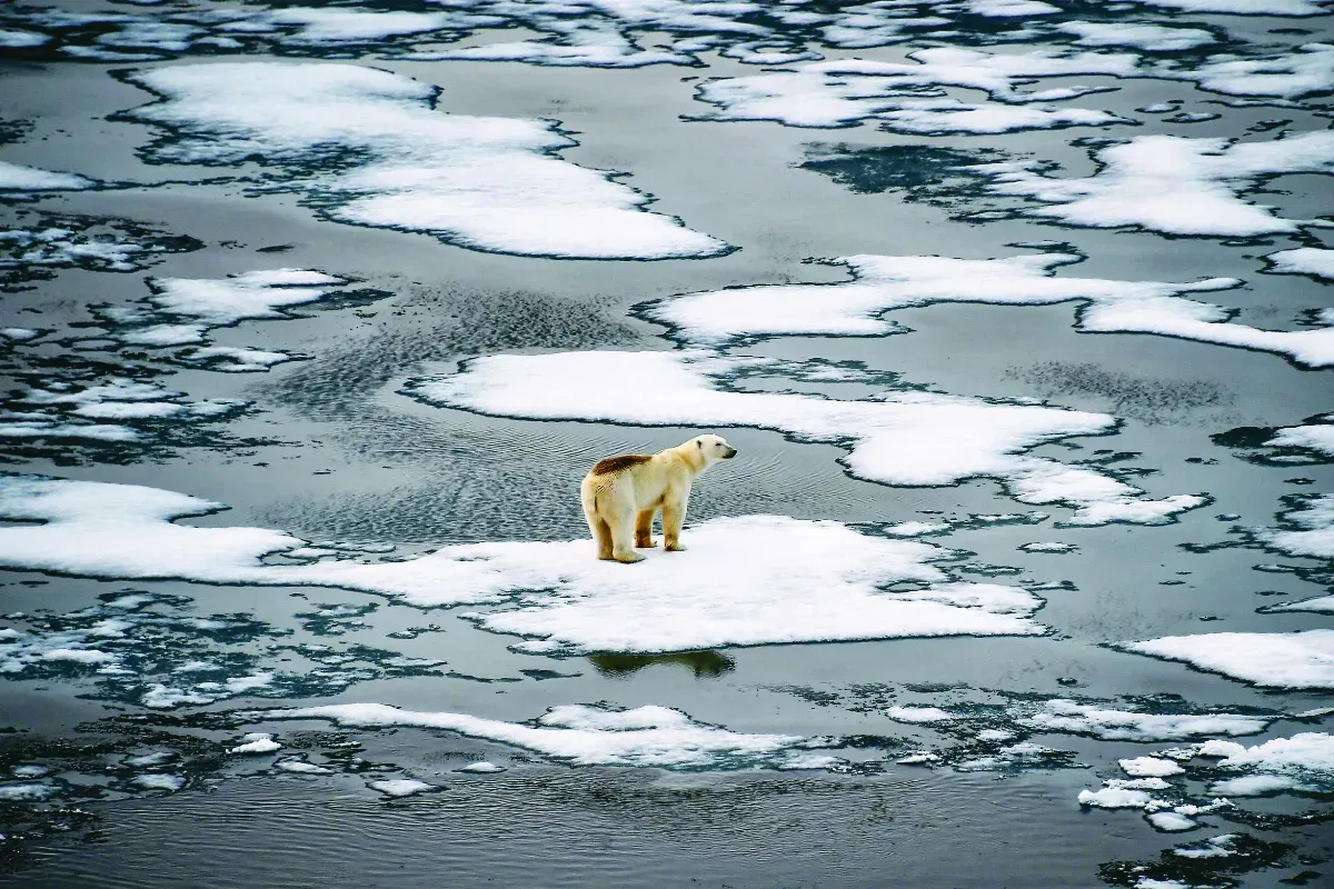 暖化升溫 聯合國：嚴重影響勞工健康及生產力